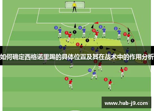 如何确定西格诺里踢的具体位置及其在战术中的作用分析 如何确定西格诺里踢的具体位置及其在战术中的作用分析