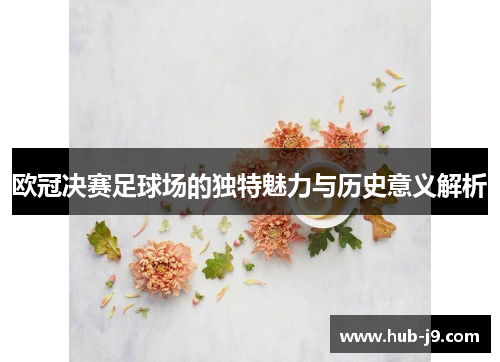 欧冠决赛足球场的独特魅力与历史意义解析 欧冠决赛足球场的独特魅力与历史意义解析
